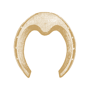hufeisen-300x300