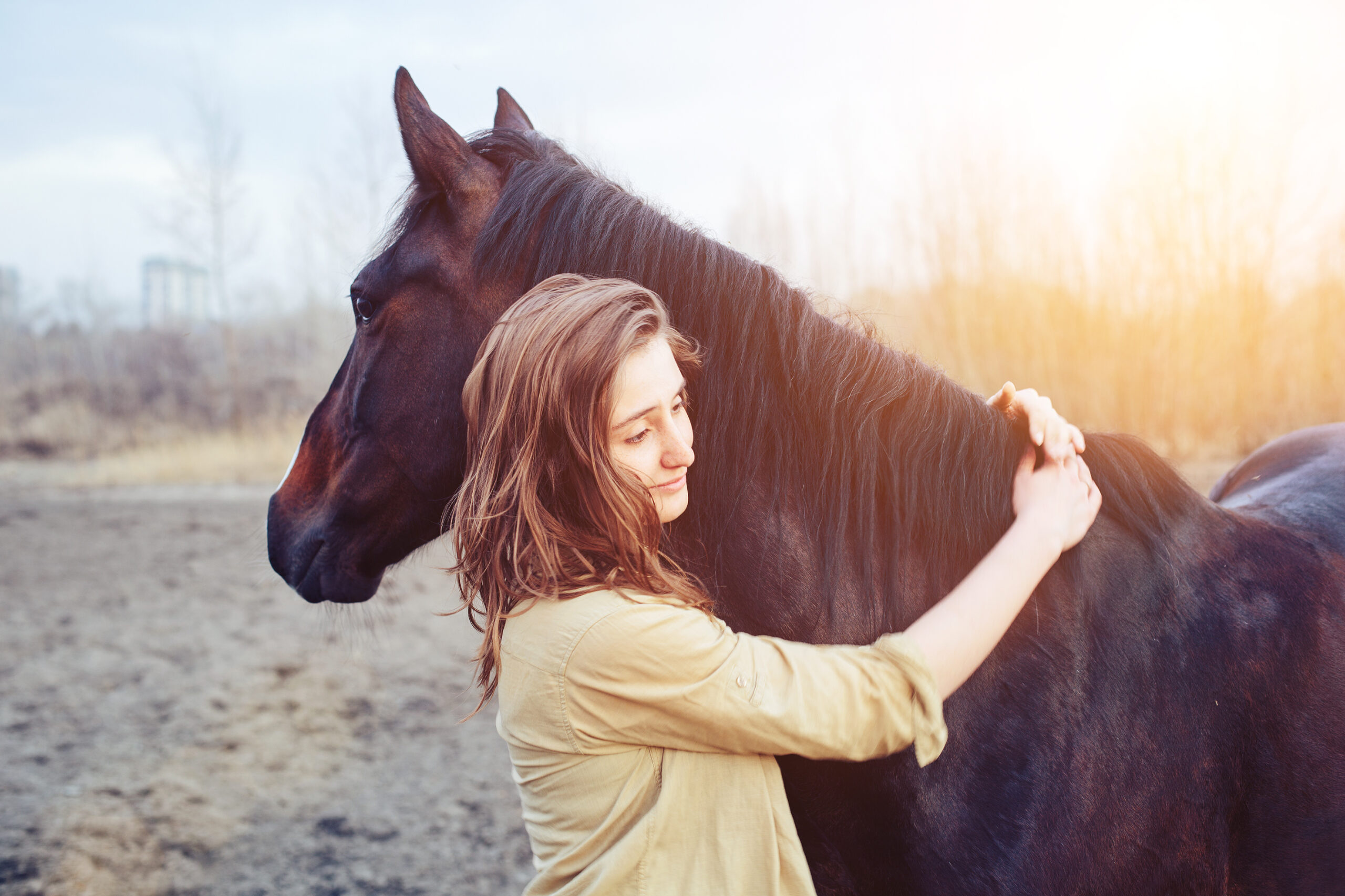 Beautiful young female walking and hugging with her brown hors outdoor
